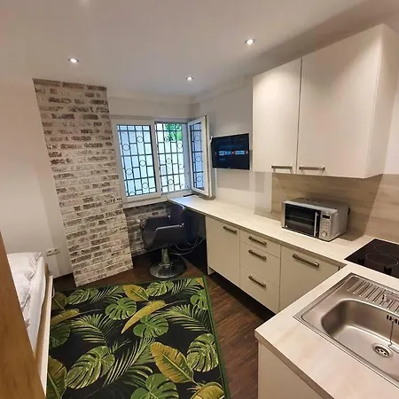 Modern Micro-apartment In Pempelfort